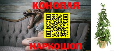 не бодяженный Новозыбков