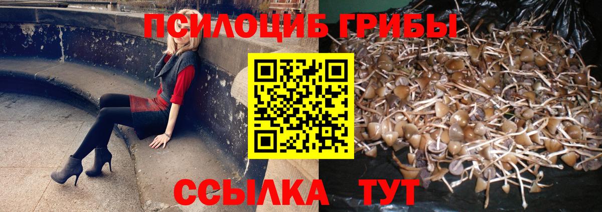 Псилоцибиновые грибы Psilocybine cubensis  Вход с VPN  Псилоцибиновые грибы Psilocybe  Усть-Джегута 